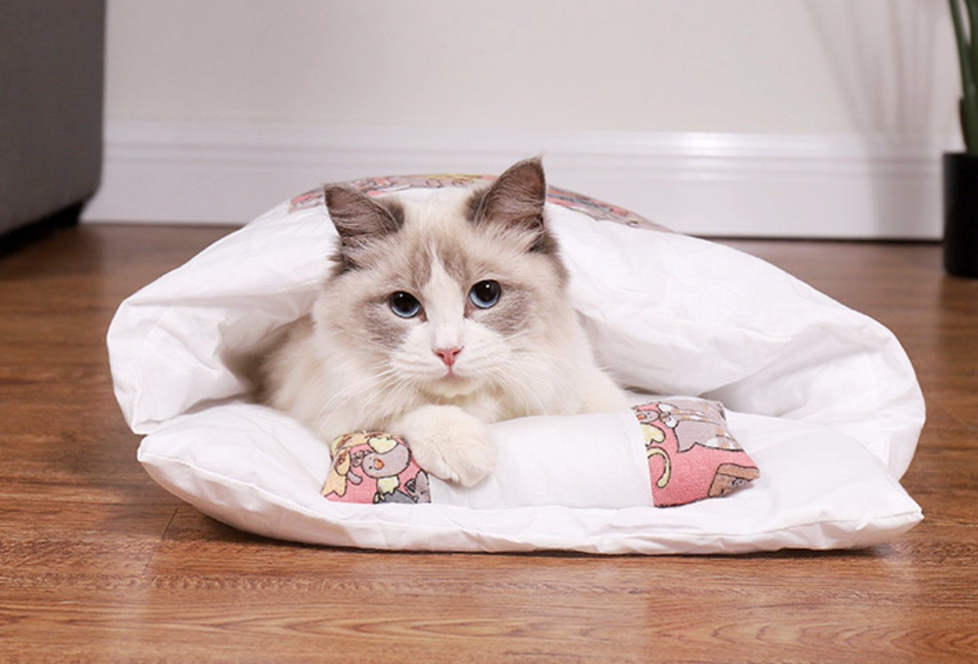 Chenpet Wholesale Cotton Pet Sleep Bags Pet Custom Beds