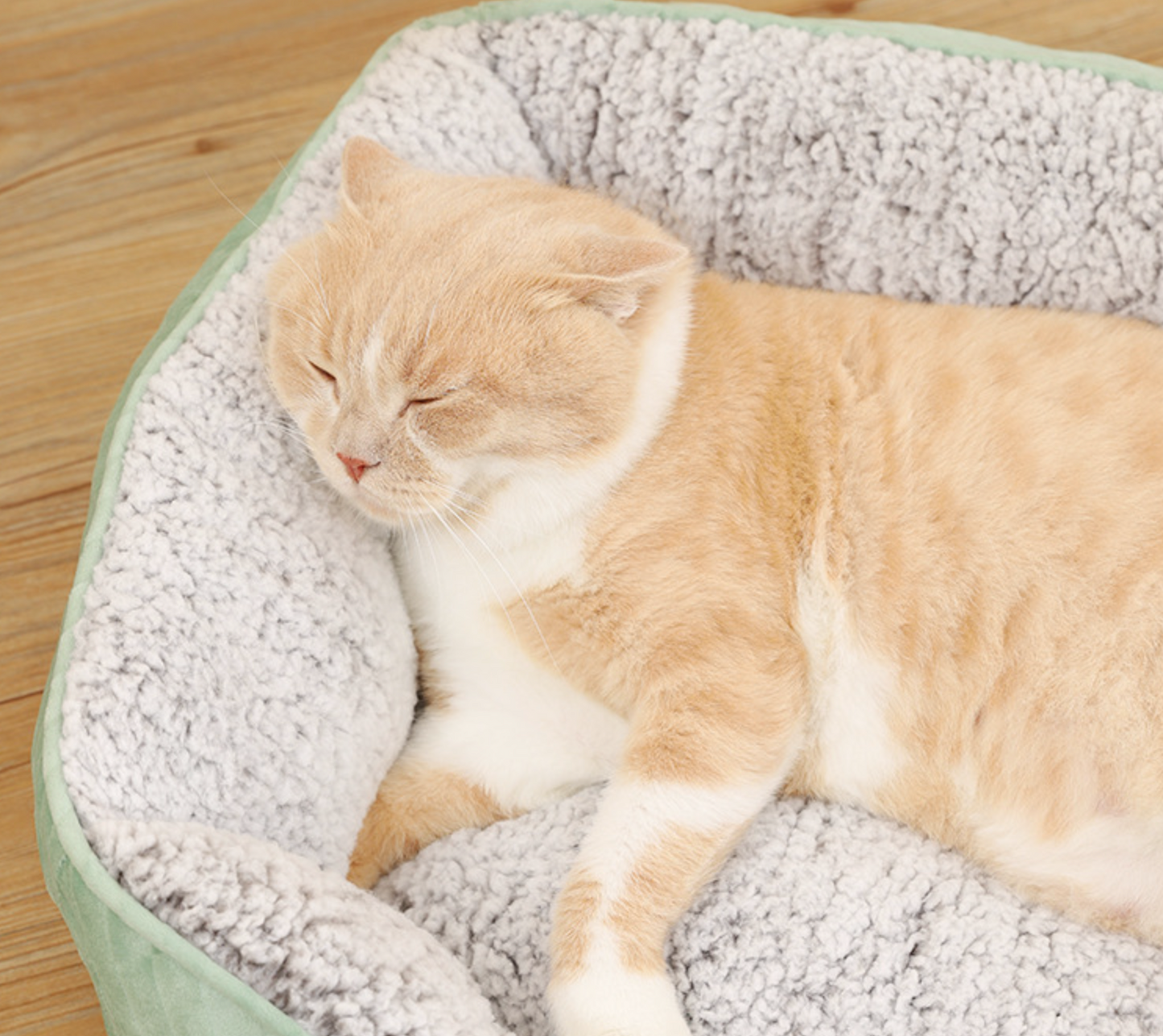 Chenpet New Design Pet Warm Durable Beds Dog Beds Cat Beds