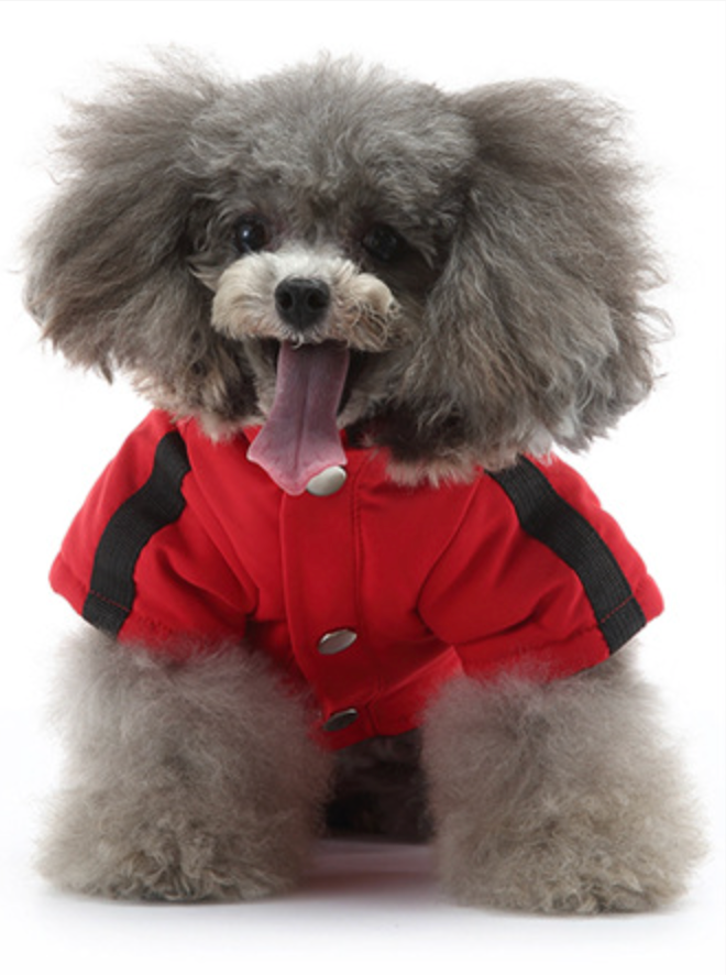 Chenpet New Design Winter Pet Coats Dog Clothes
