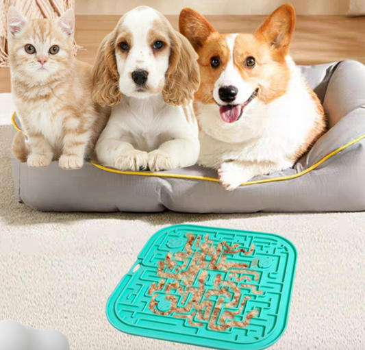 Chenpet Hot Selling Silicon Pet Eat Slow Bowl Dog Bowl