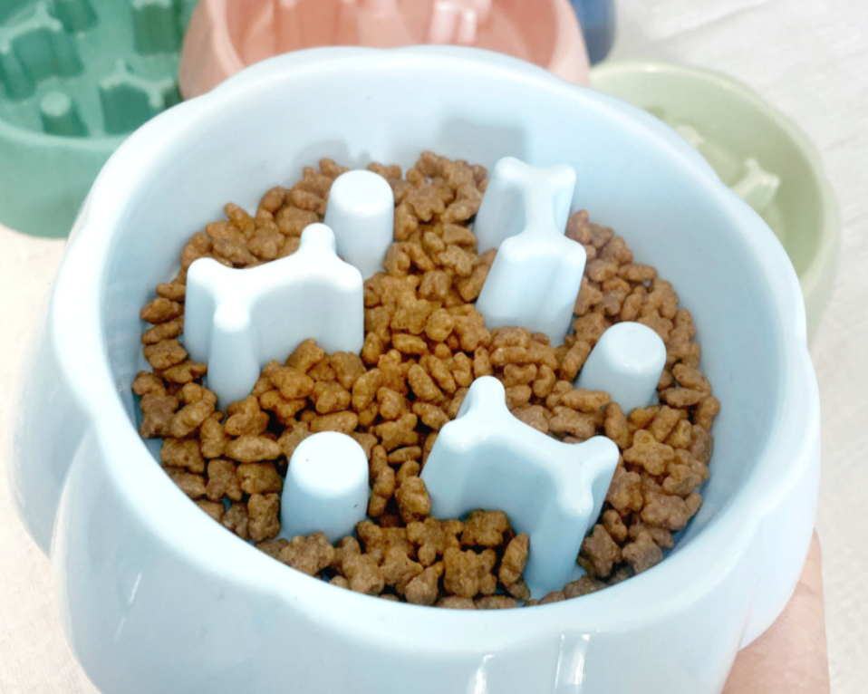 Chenpet New Design Pet Eat Slow Bowl Easy Clean Dog Bowl