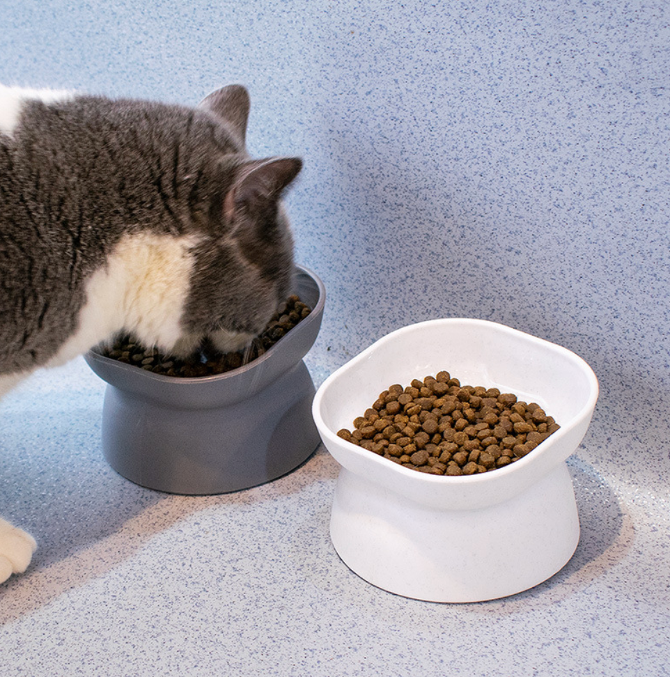 Chenpet Custom New PP Dog Bowls Pet Water Bowls