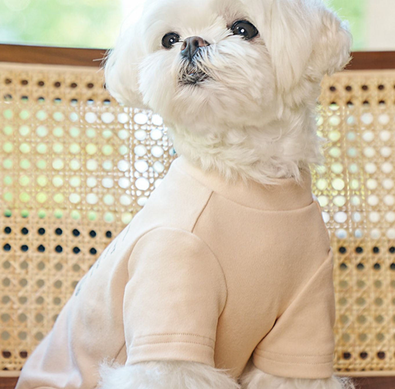 Chenpet Hot Selling Winter Warm Pet Clothes Dog Apparels