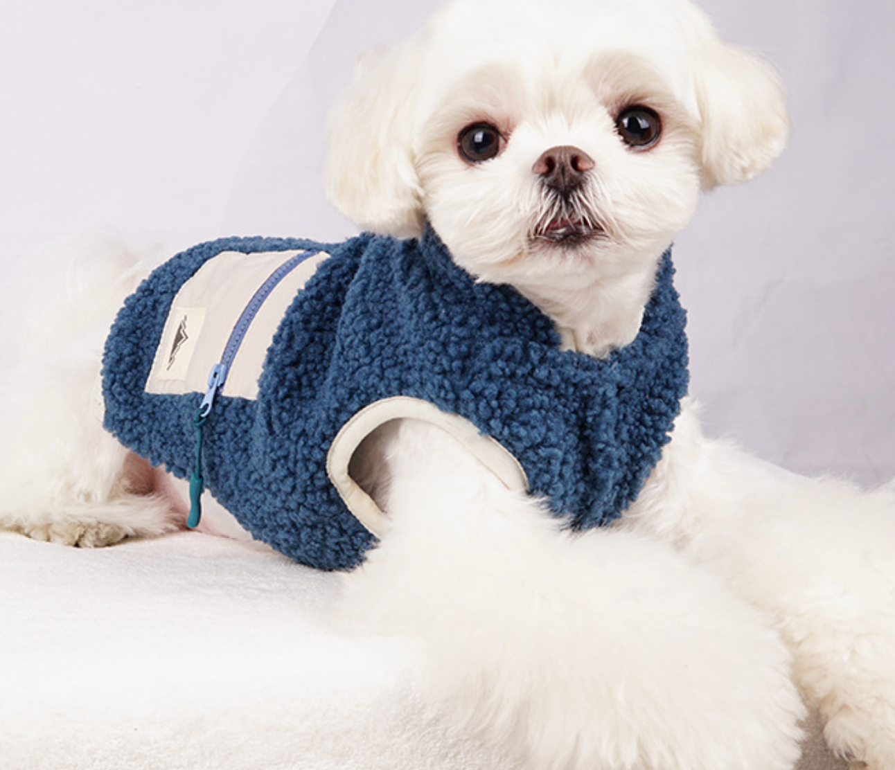 Chenpet Manufacturer Pet Winter Clothes Dog Apparels