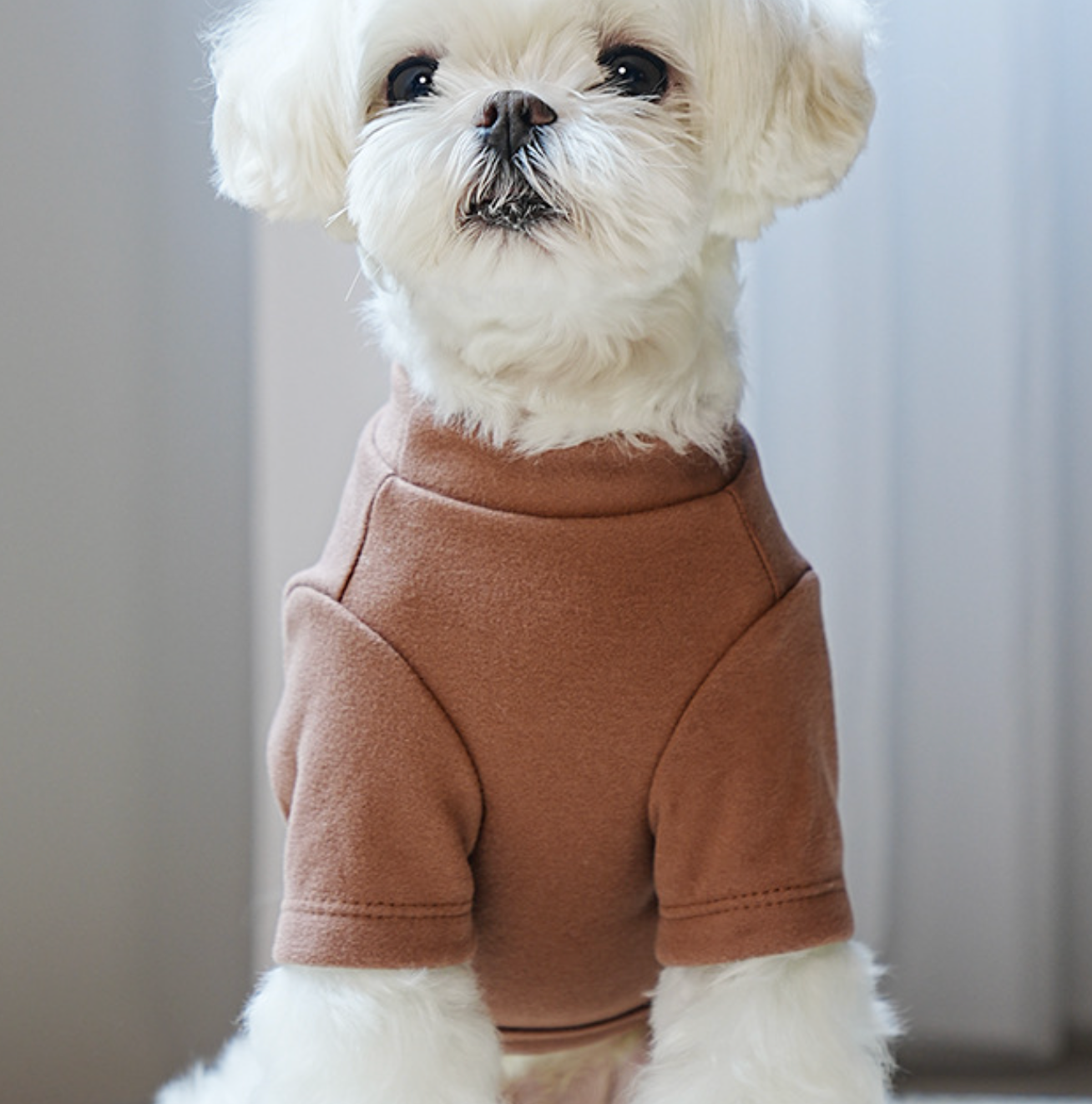 Chenpet New Design Pet Clothes Dog Winter Apparels