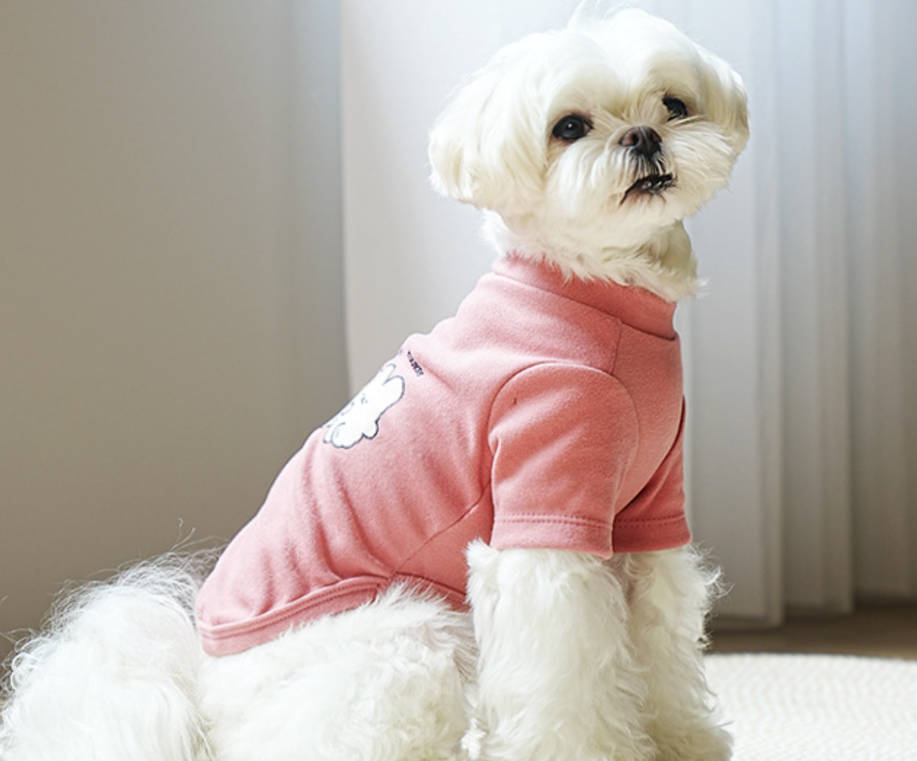 Chenpet New Design Pet Clothes Dog Winter Apparels