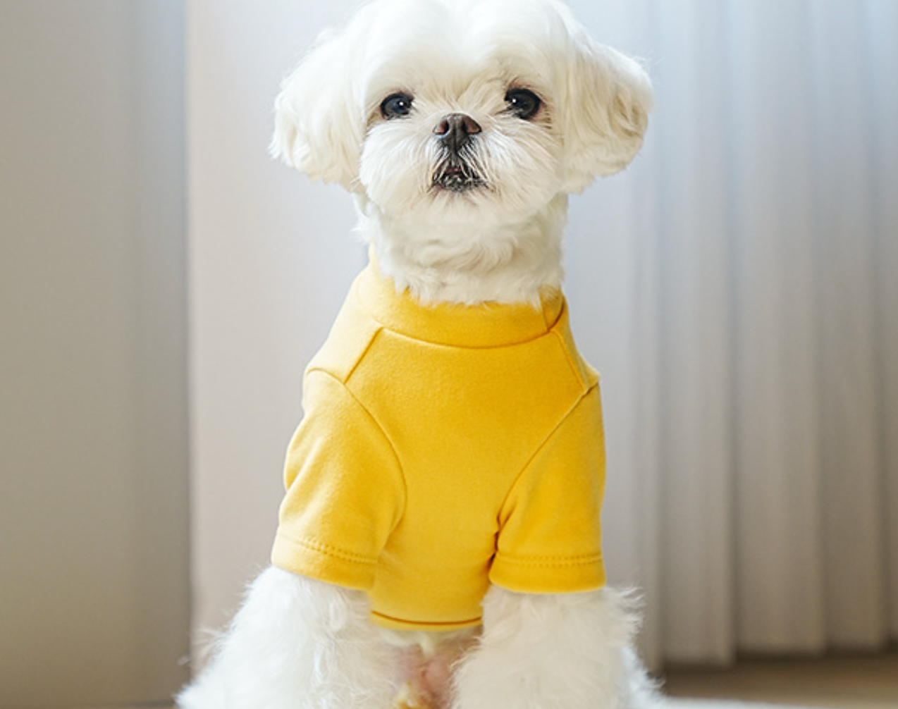 Chenpet New Design Pet Clothes Dog Winter Apparels