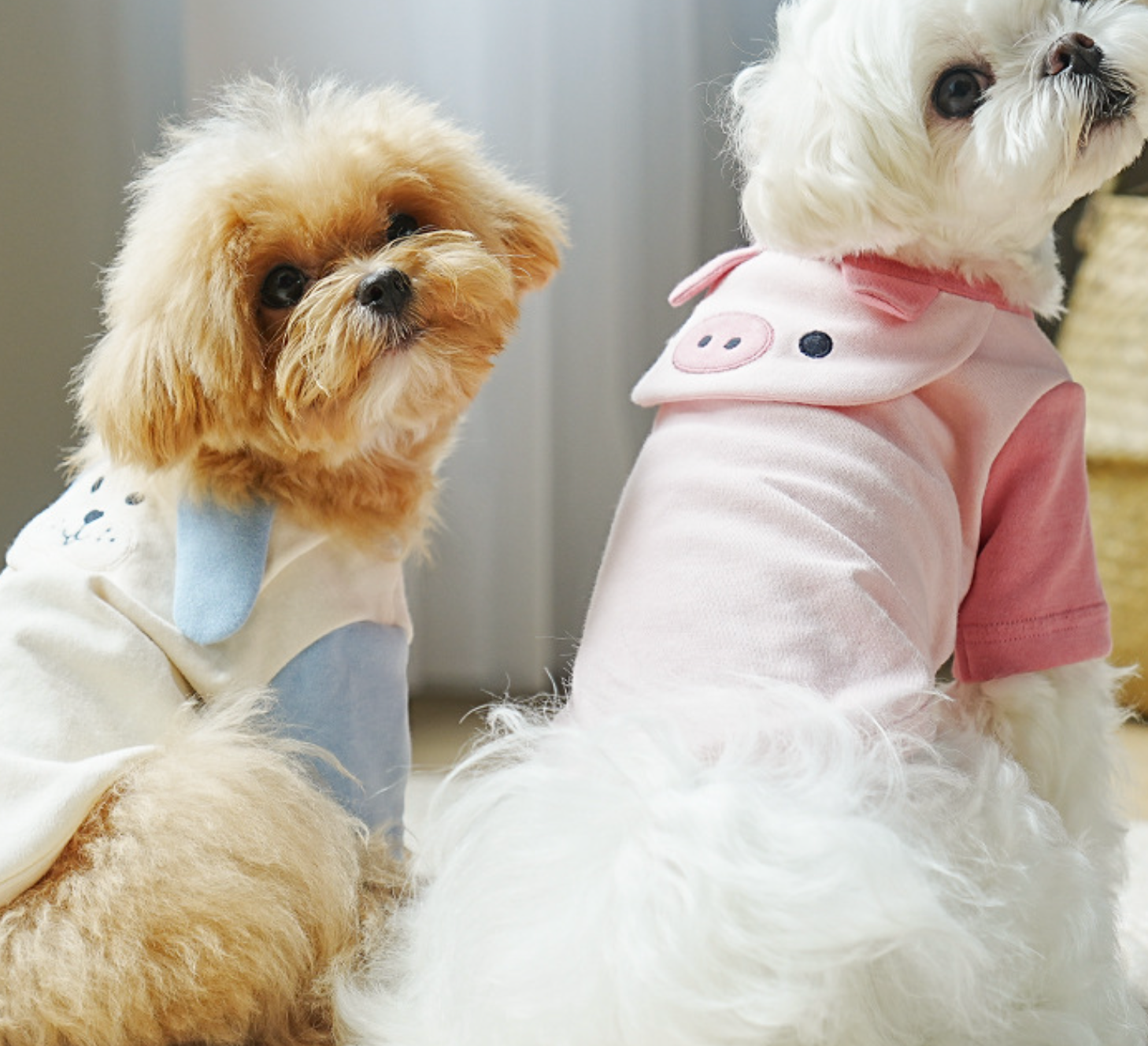 custom winter dog dress Custom Dog Apparel & Swag