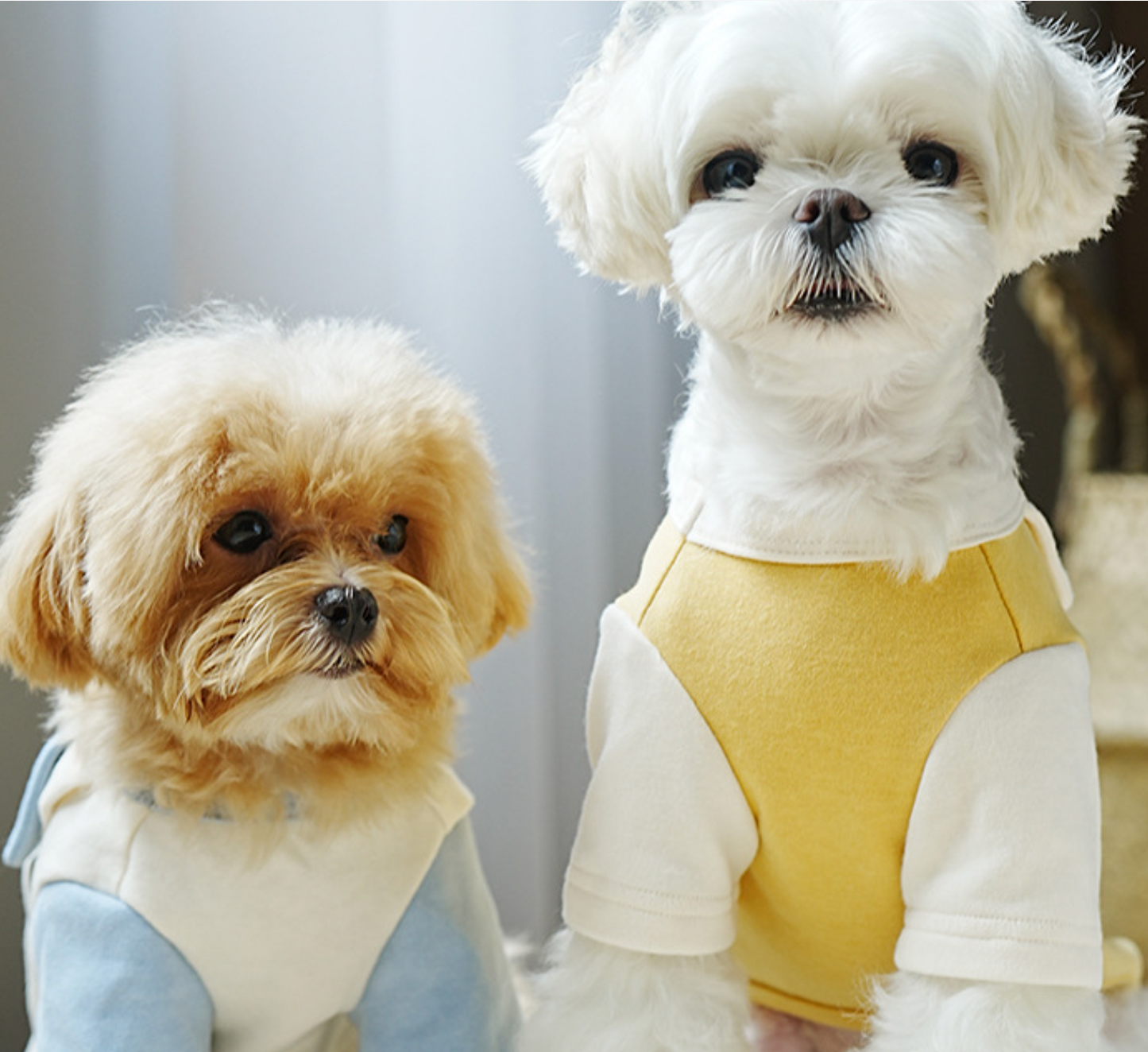Chenpet Wholesale Custom Pet Winter Clothes Dog Apparels