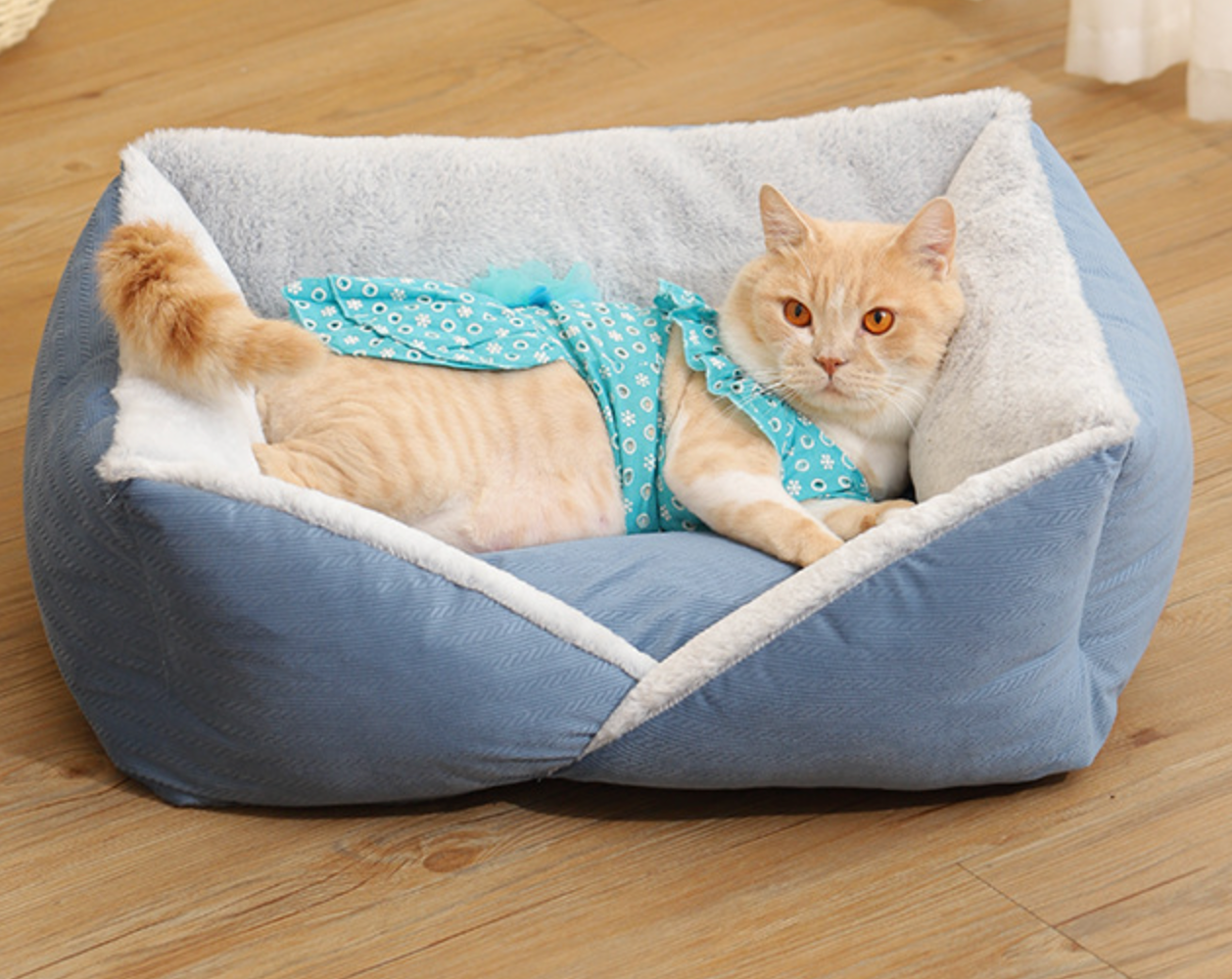 Chenpet Custom Exclusive New Designs Of Pet Beds Dog House