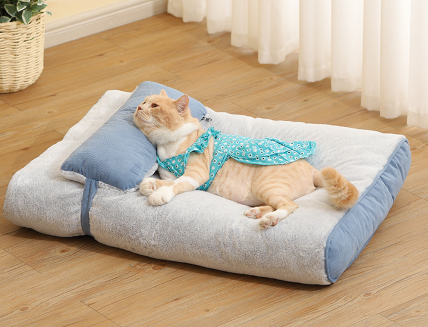 Chenpet Custom Exclusive New Designs Of Pet Beds Dog House