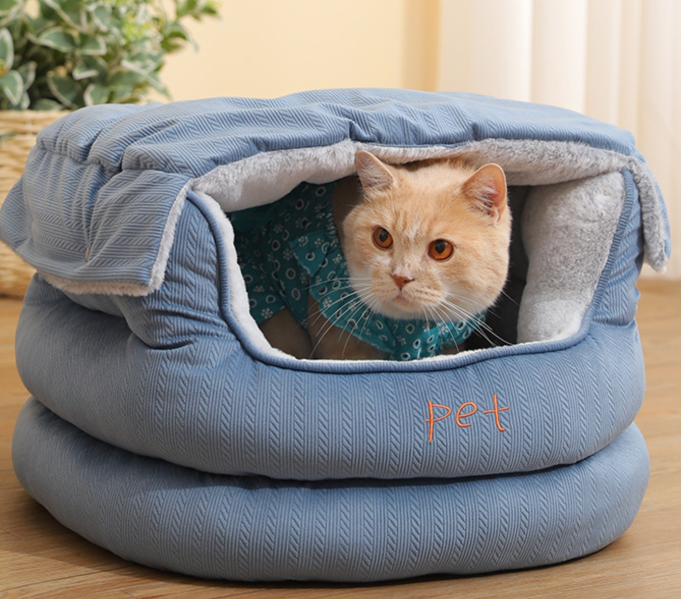 Chenpet Custom Exclusive New Designs Of Pet Beds Dog House