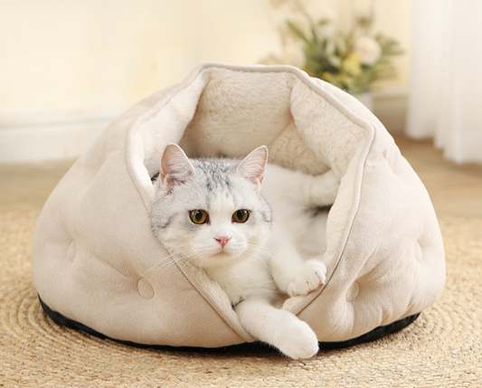 Chenpet Custom Pet Beds New Arrival Dog Beds