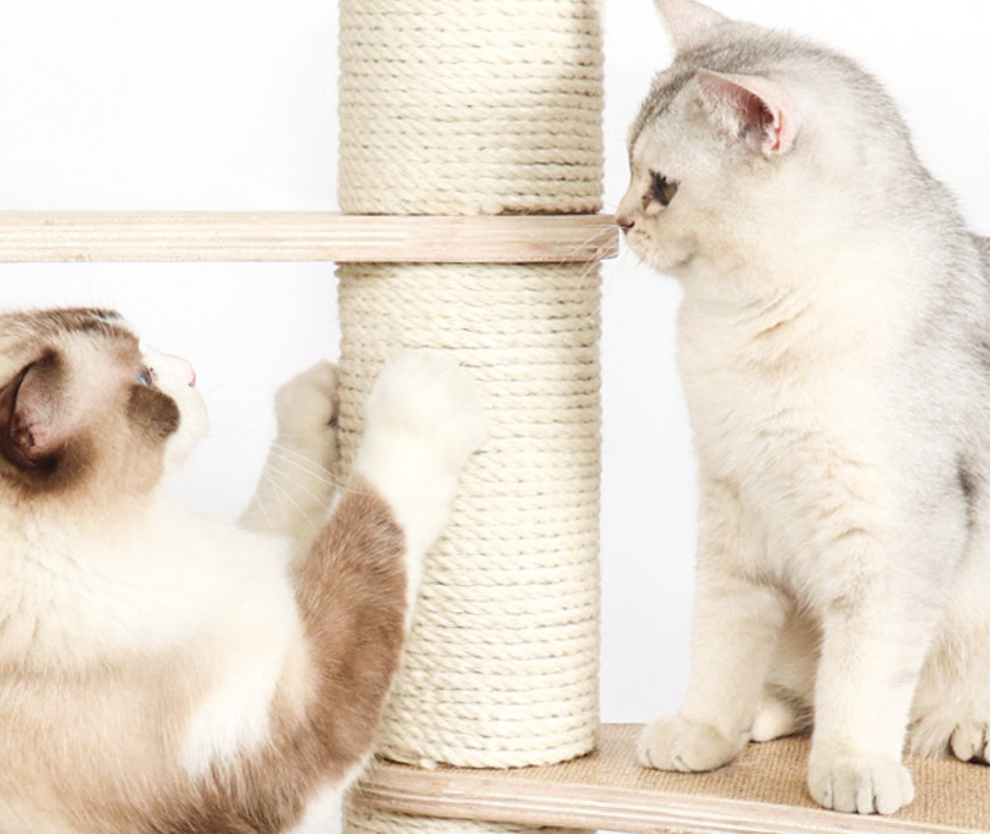 Chenpet High Quality Large Durable Cat Trees