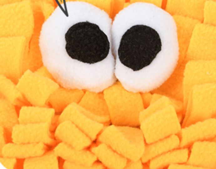 Chenpet Wholesale New Exclusive Design Of Fruit Series