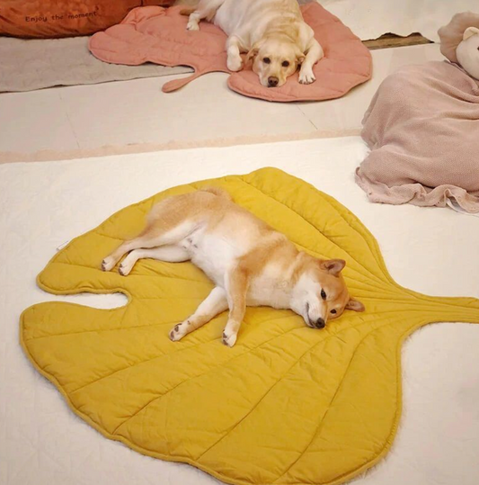 Chenpet Custom Autumn Leaves Pet Mats Dog Mats