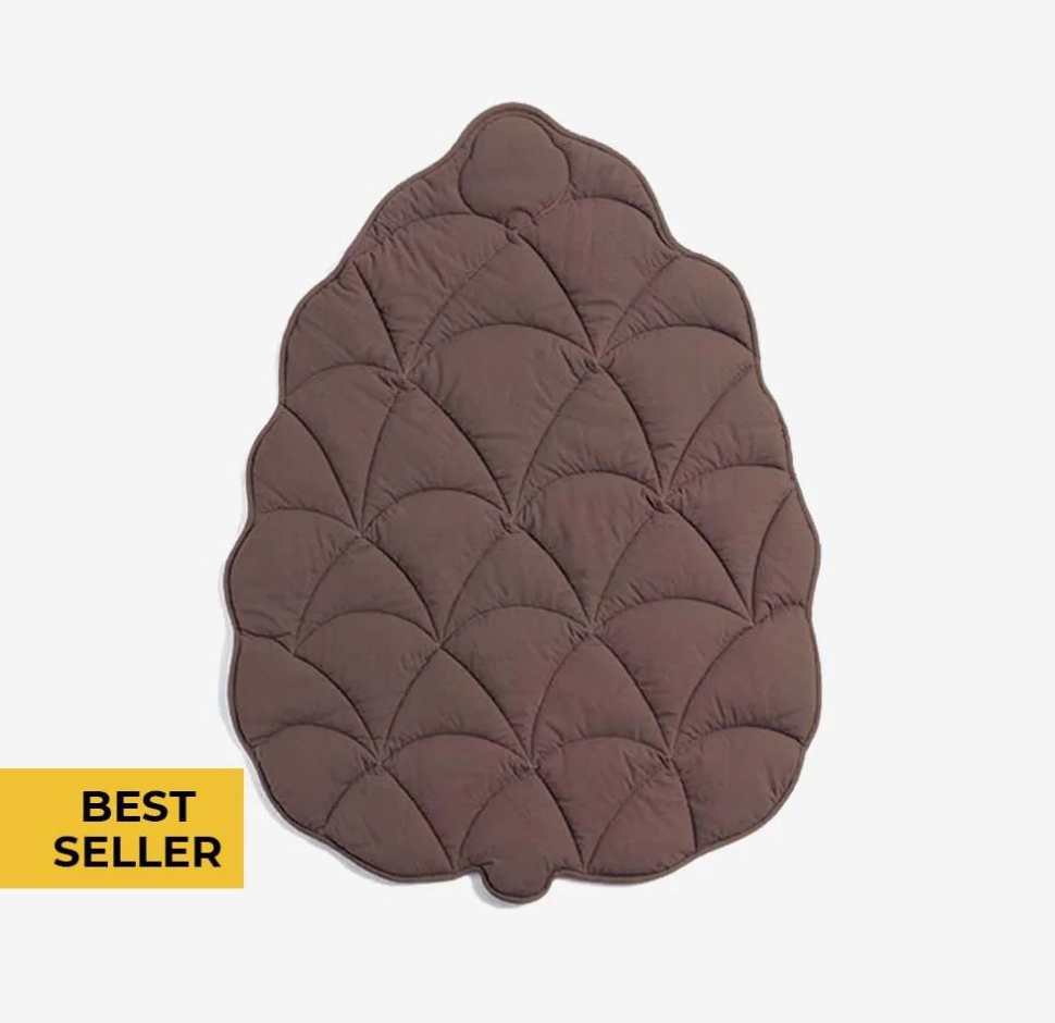 Chenpet Custom Autumn Leaves Pet Mats Dog Mats