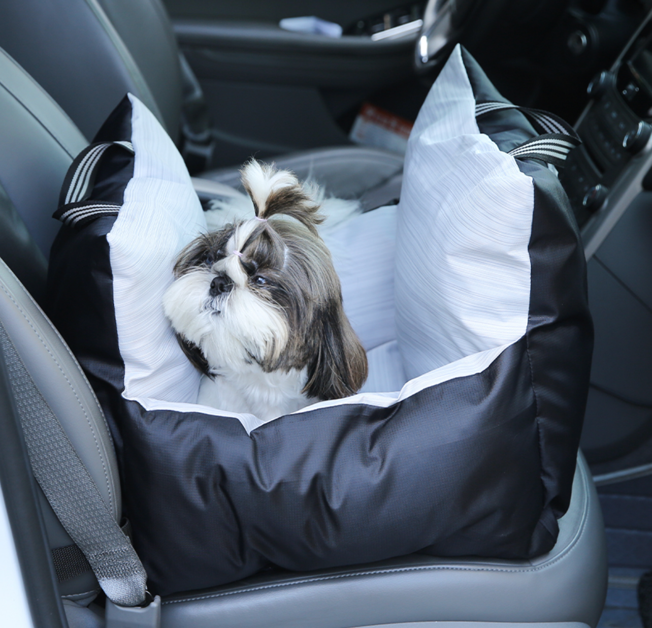 Chenpet Wholesale Waterproof Pet Car Carrier Bag Pet Travel Booster