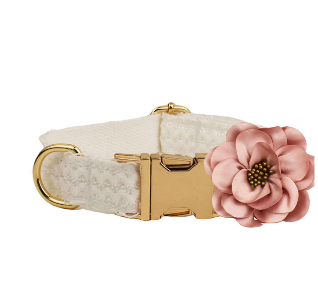 Chenpet High Quality Wedding Use Pet Accessories Dog Collars
