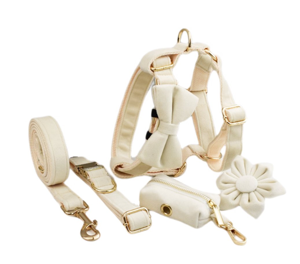 Chenpet High Quality Velvet Pet Accessories Dog Leashes
