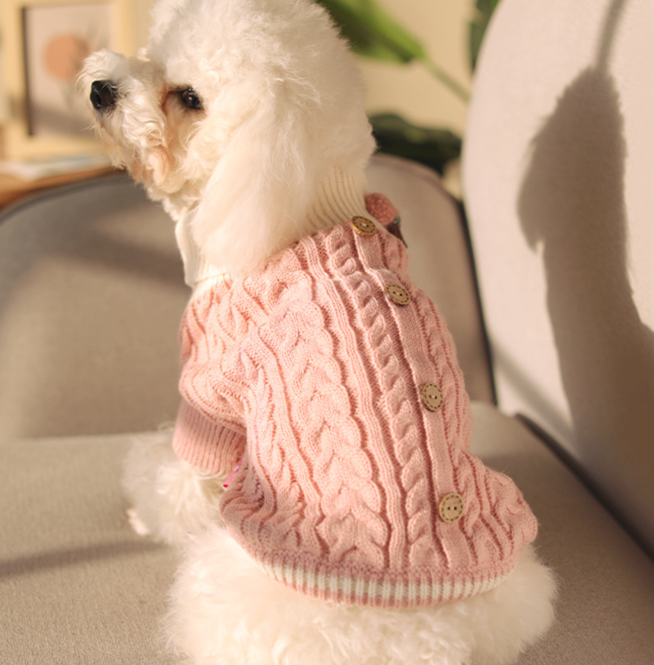 Chenpet Custom Pet Knit Wear Dog Winter Clothes Pet Apparels