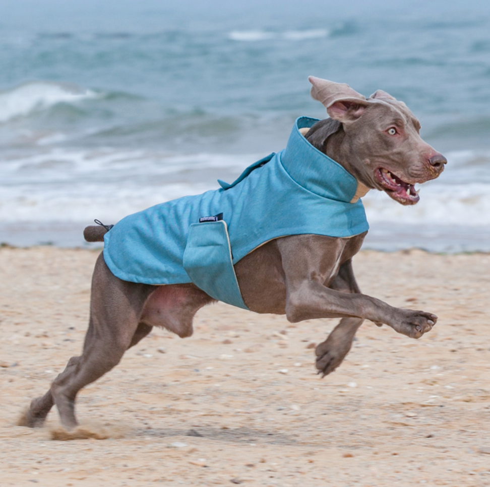 Chenpet Dog Punching Coat Double Layer Cotton Coat Windproof And Waterproof