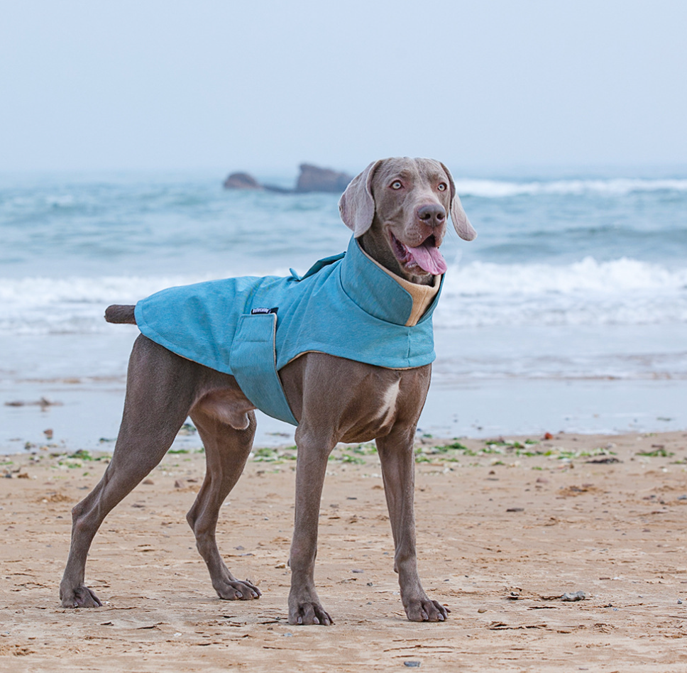 Chenpet Dog Punching Coat Double Layer Cotton Coat Windproof And Waterproof