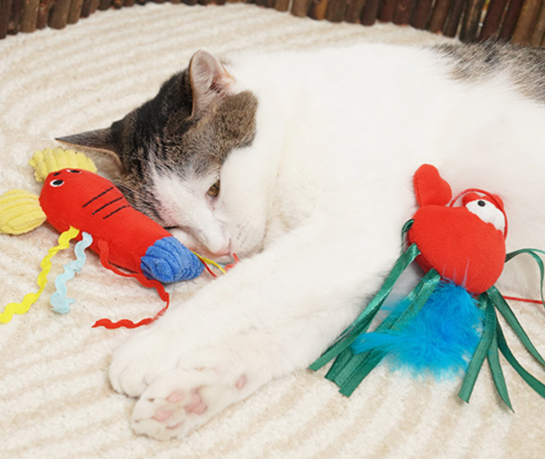 Chenpet New Design Cat Toys Plush Pet Play Toys