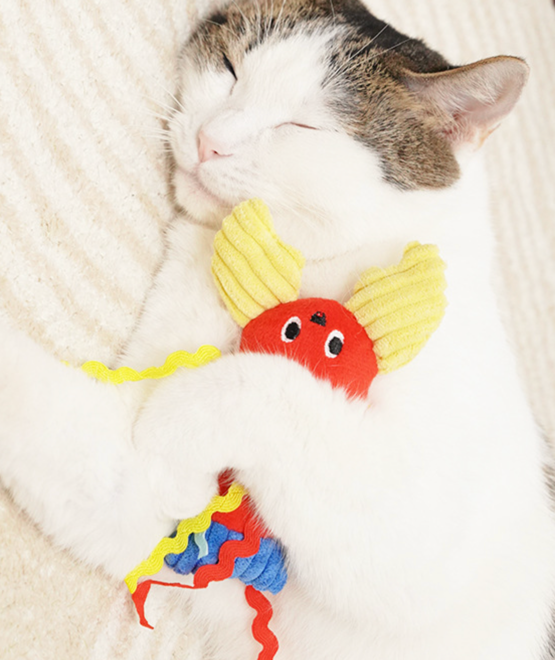 Chenpet New Design Cat Toys Plush Pet Play Toys