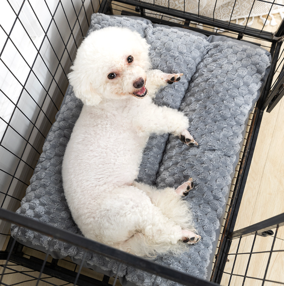Chenpet Wholesale Pet Cozy Beds Dog Warm Beds