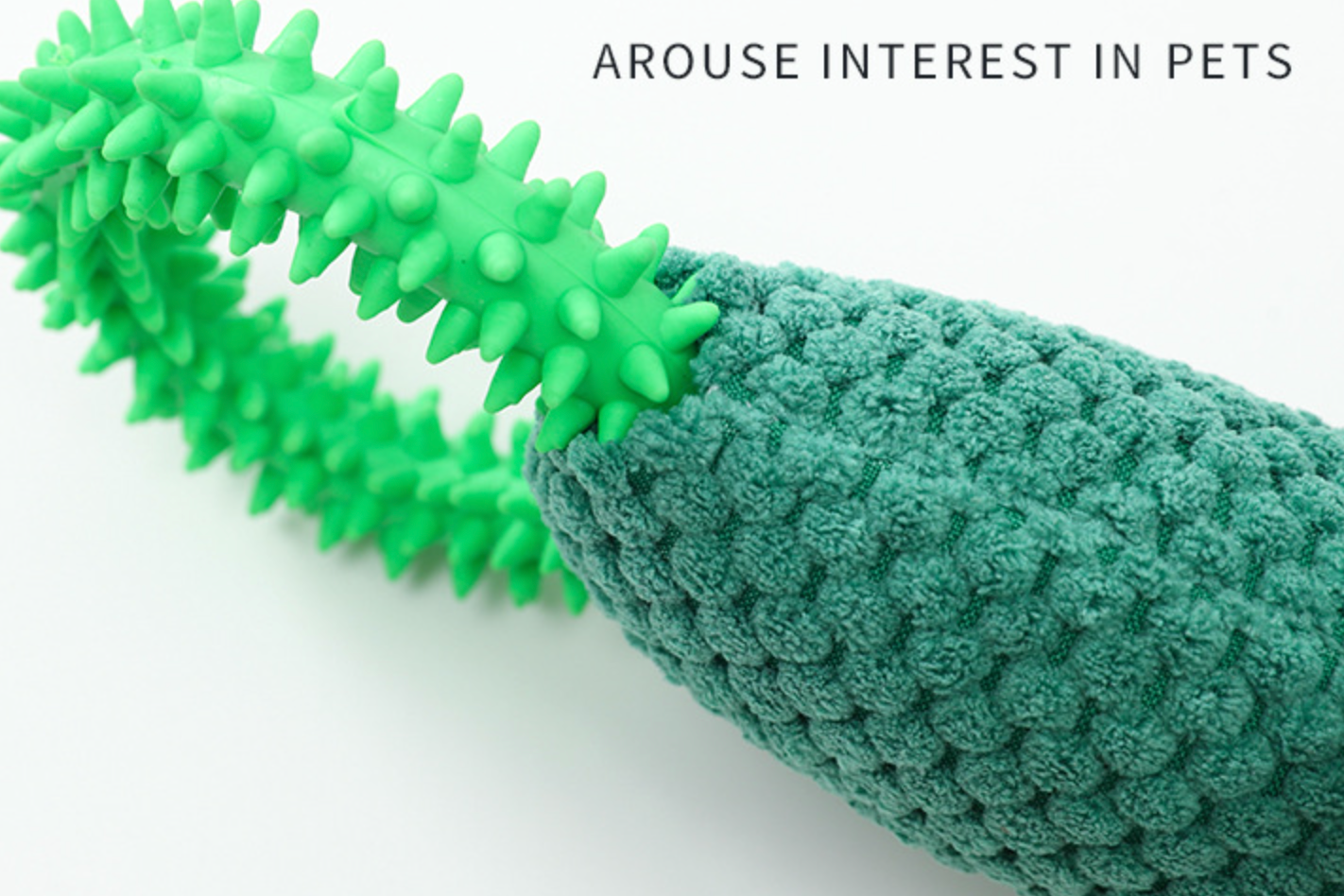 Chenpet High Quality Cactus Pet Plush Chew Toys