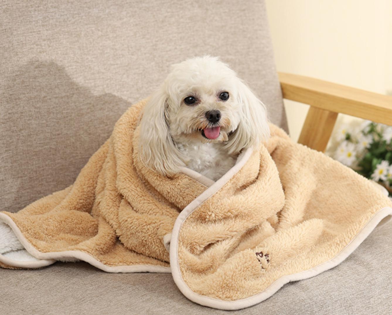 Chenpet Wholesale Pet Thickened Double Sided Fleece Blankets