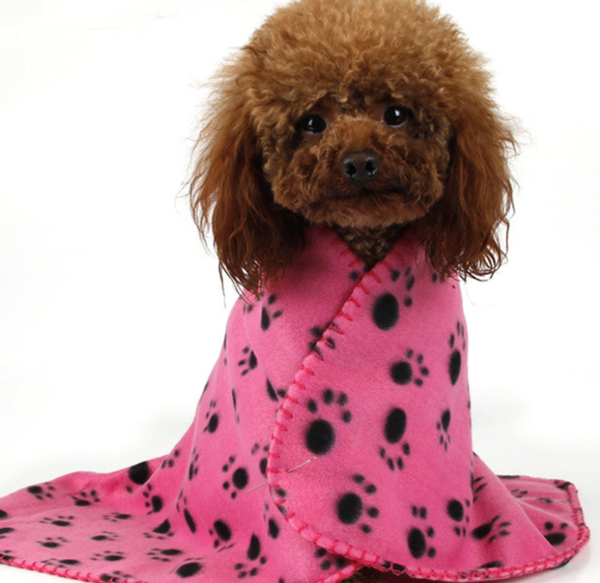 Chenpet Wholesale Warm Pet Mats Fleece Dog Blankets