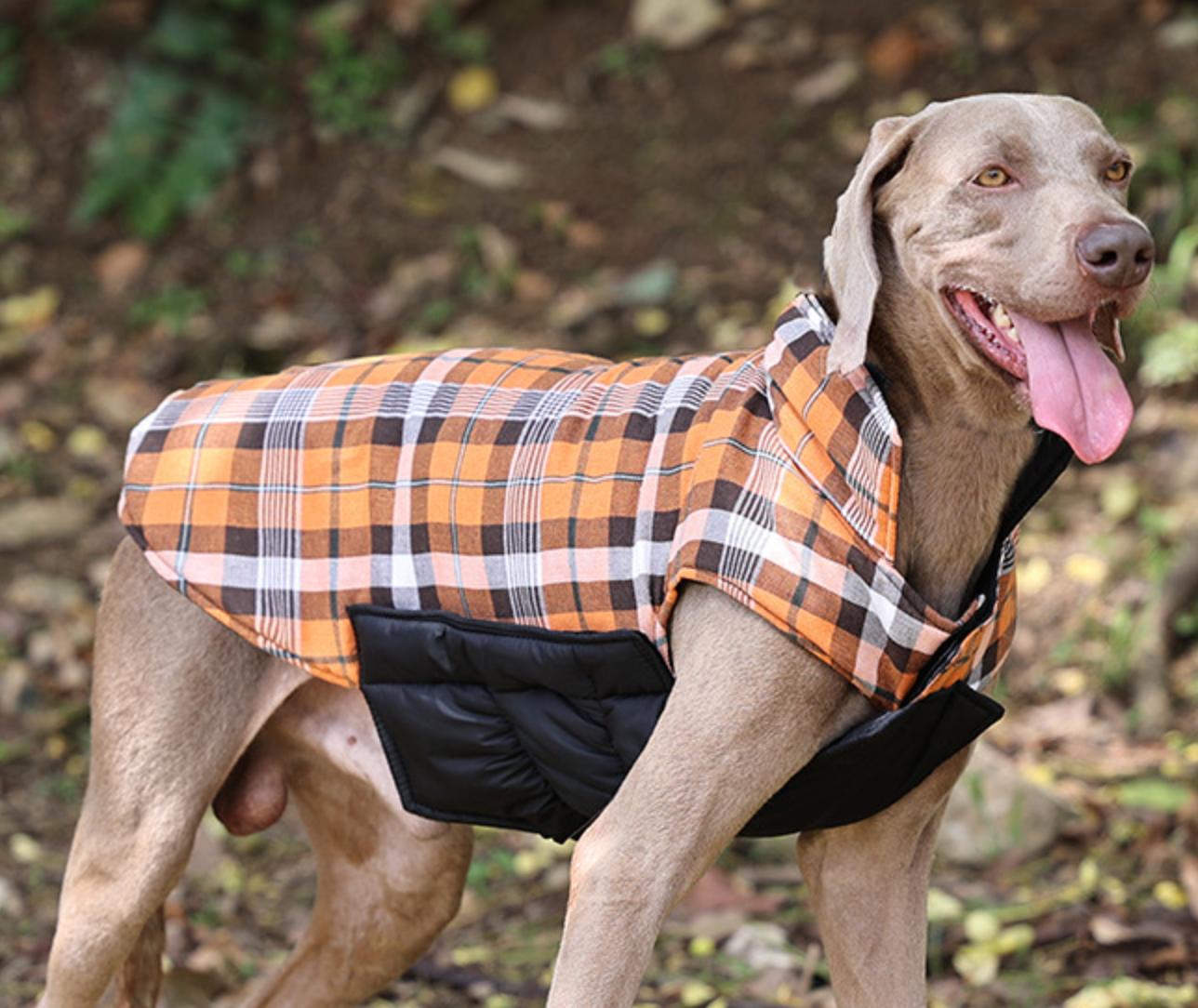 Chenpet Wholesale Custom Pet Clothes Dog Wear