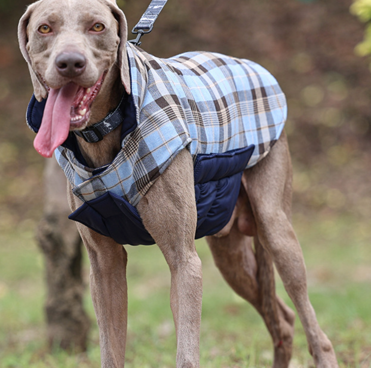 Chenpet Wholesale Custom Pet Clothes Dog Wear