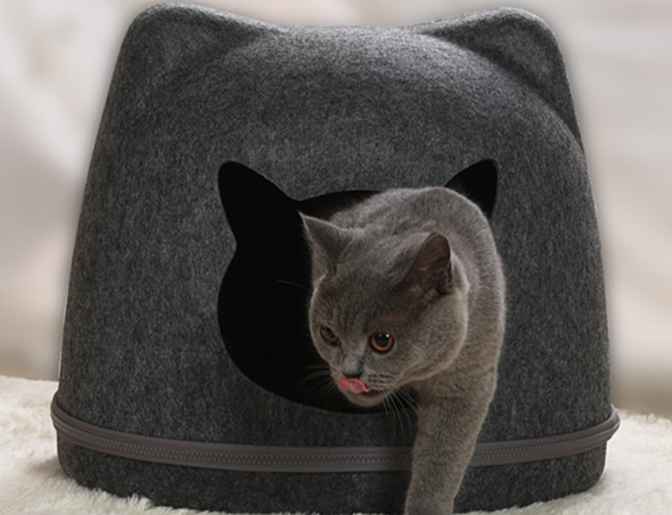Chenpet Cute Cat Head Felt Pet House Cat Beds