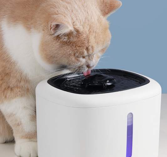Chenpet Cat Water Dispenser Automatic Circulation Live Water Filtration Dog Water Bowl