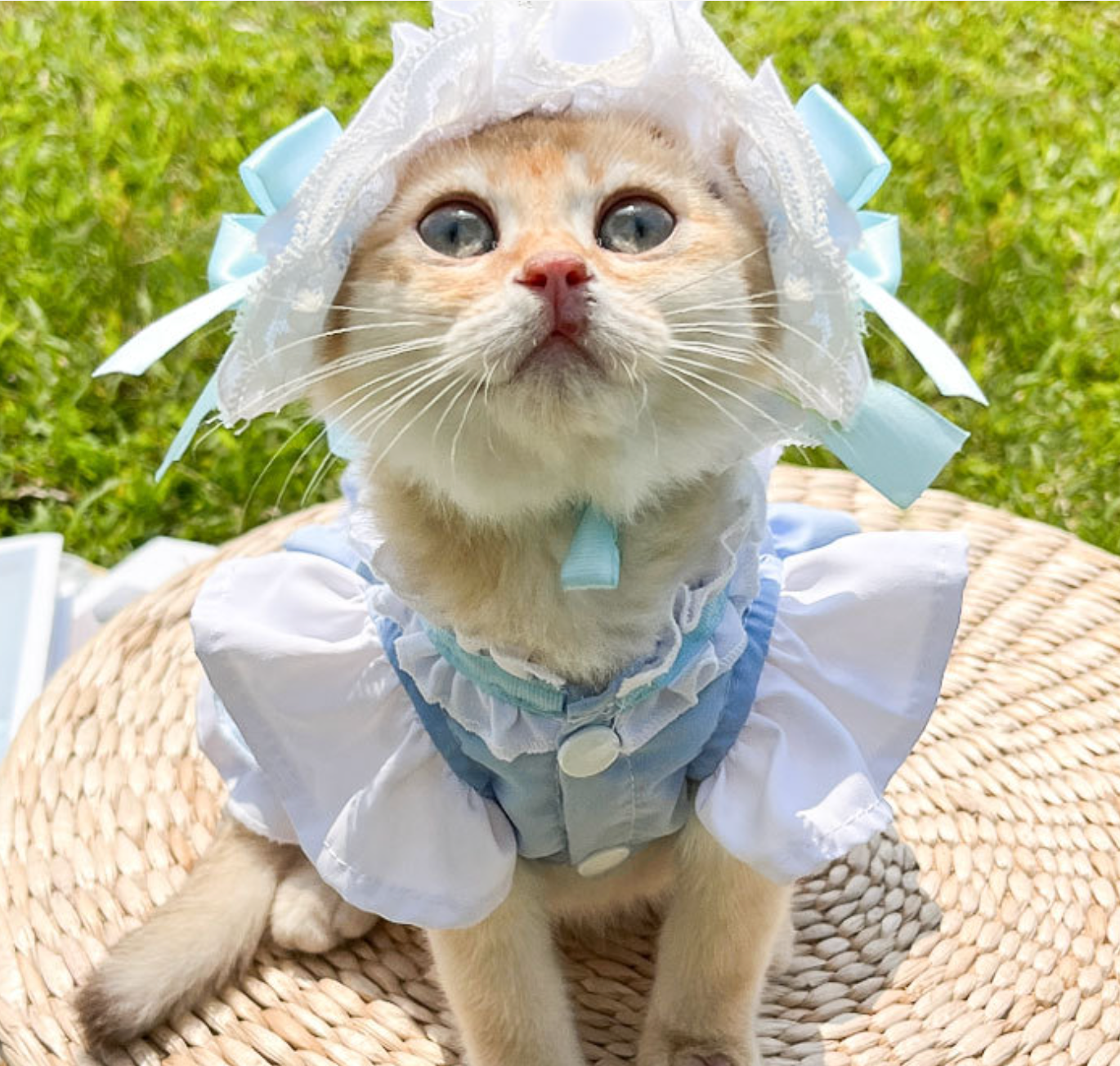 Chenpet Maid Style Spring And Summer Pet Thin Clothes