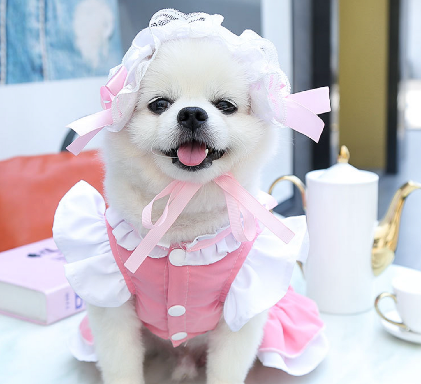 Chenpet Maid Style Spring And Summer Pet Thin Clothes