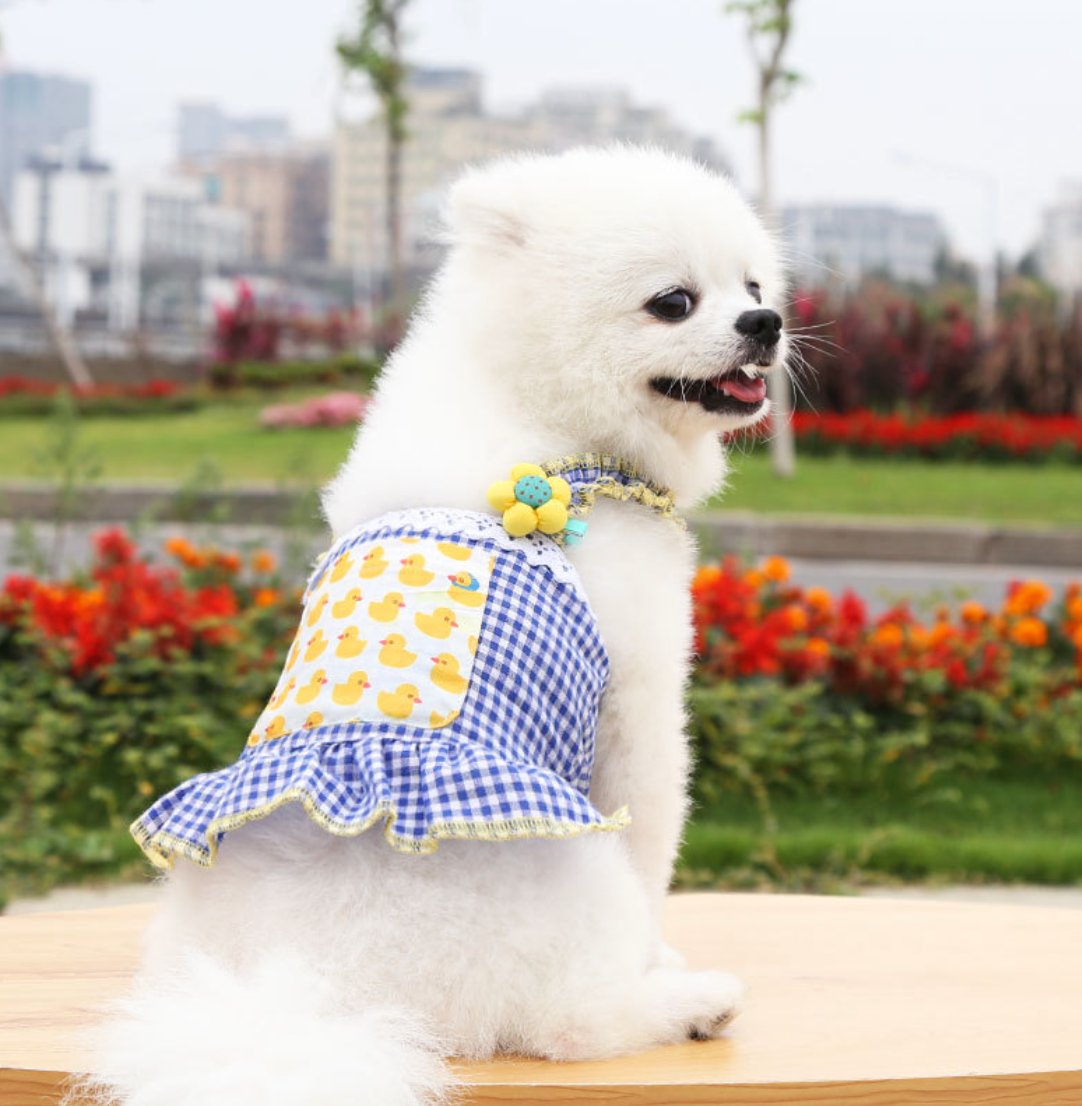 Chenpet New Design Spring Summer Dog Dresses Pet Clothes