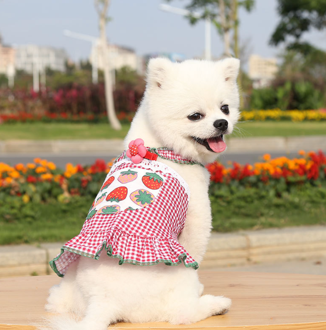Chenpet New Design Spring Summer Dog Dresses Pet Clothes