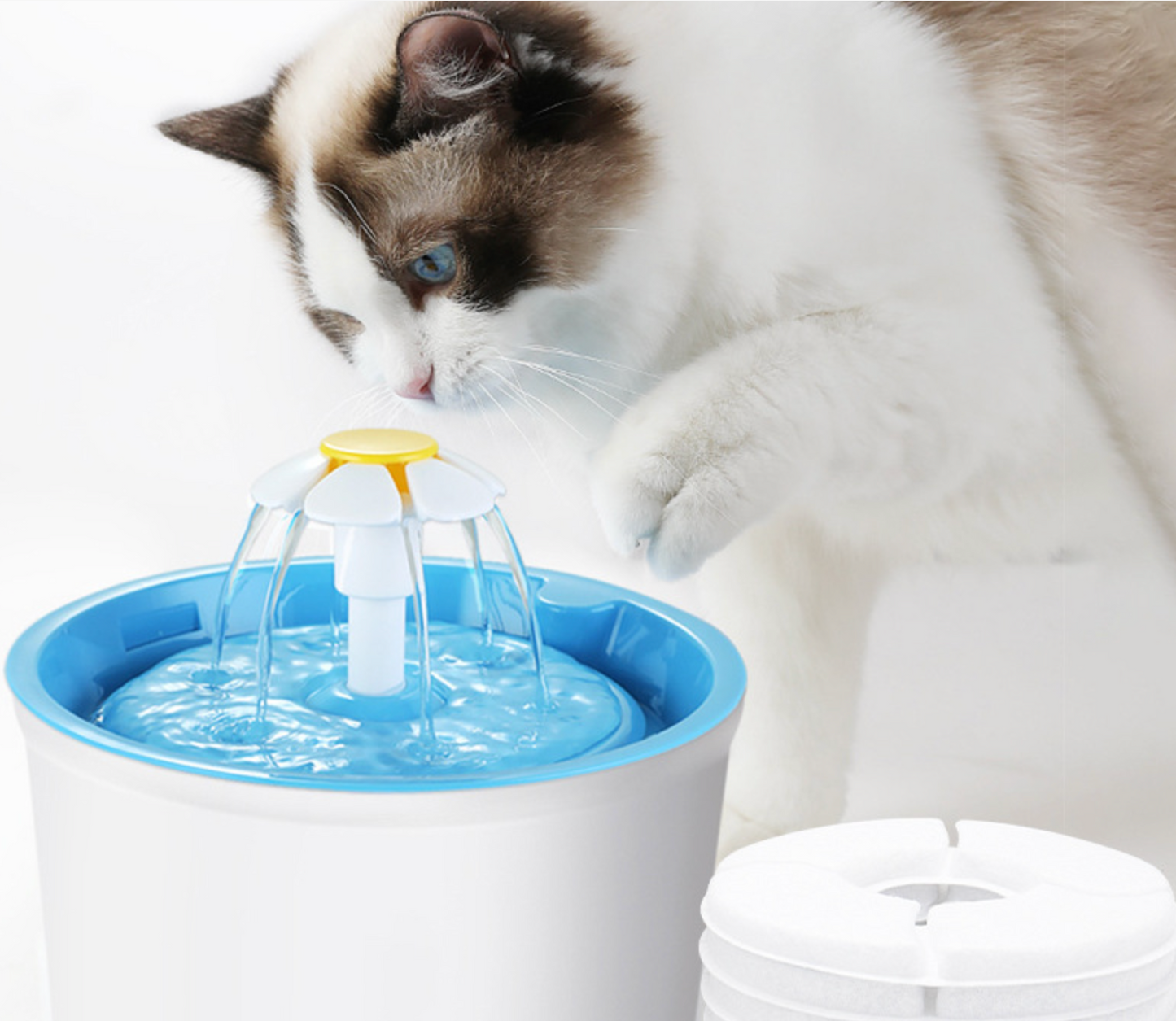 Chenpet New Arrival USB pet water dispenser automatic cycle filtration