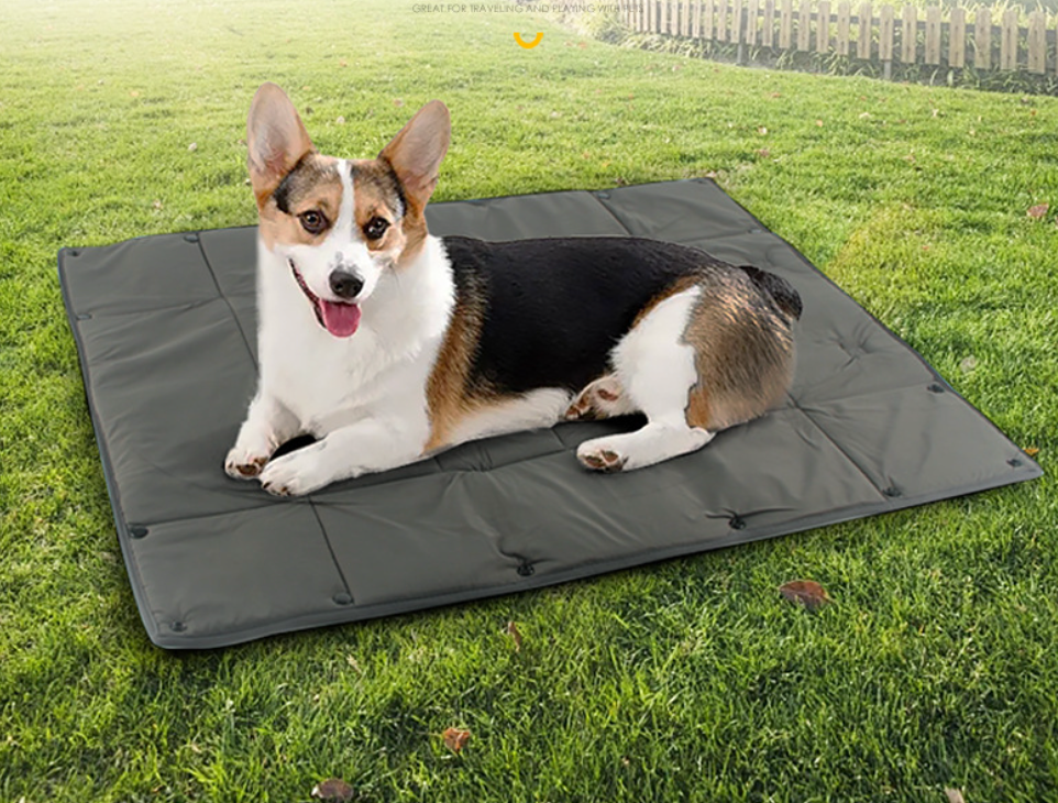 Chenpet New Design Durable Pet Outdoor Mats Waterproof Fordable Mats