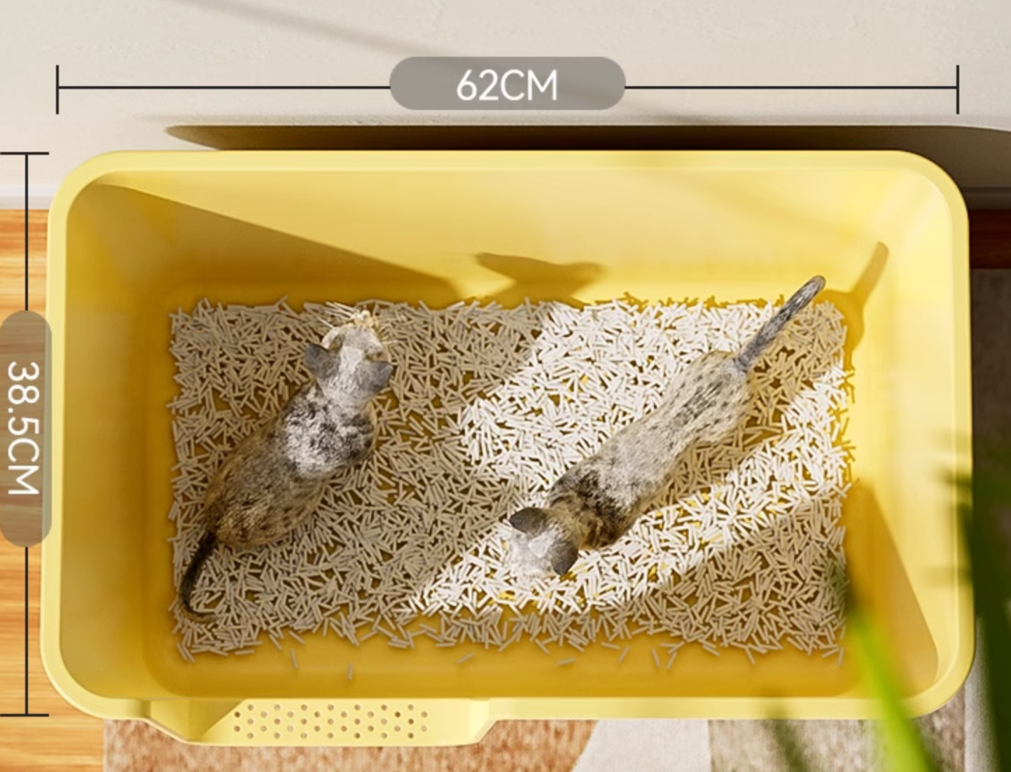 Chenpet High Quality Large Custom PP Cat Litter Box