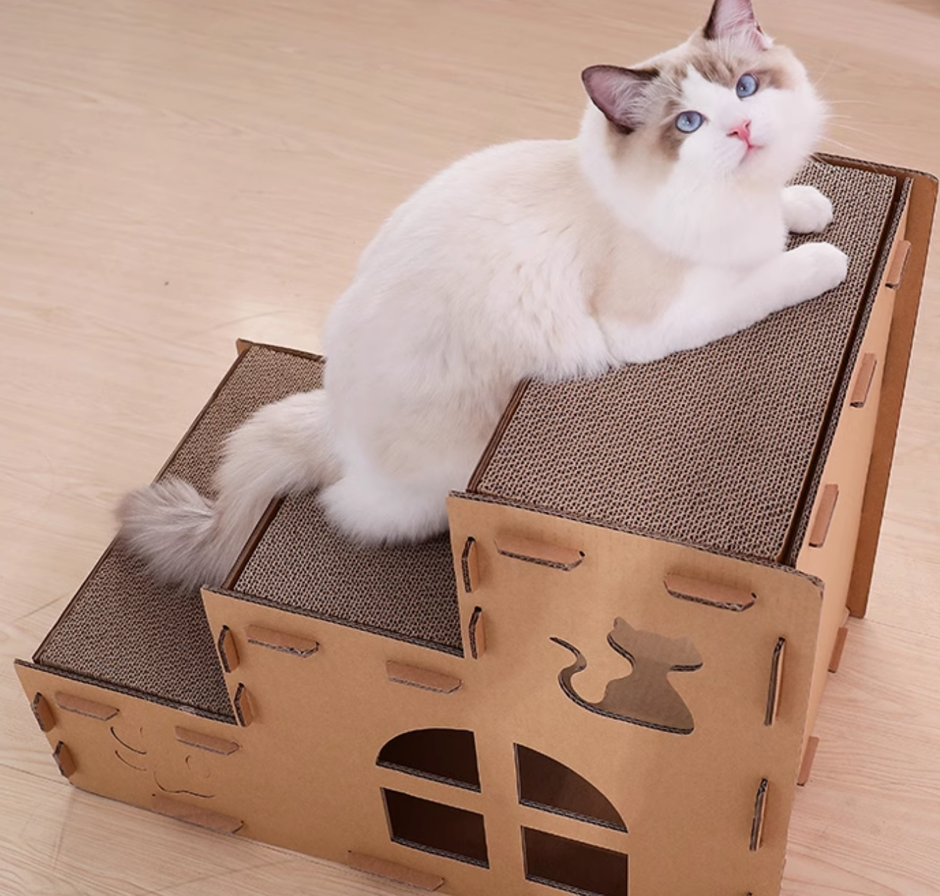 Chenpet Custom Cat Scratching Board Catnip Cat Play scratcher