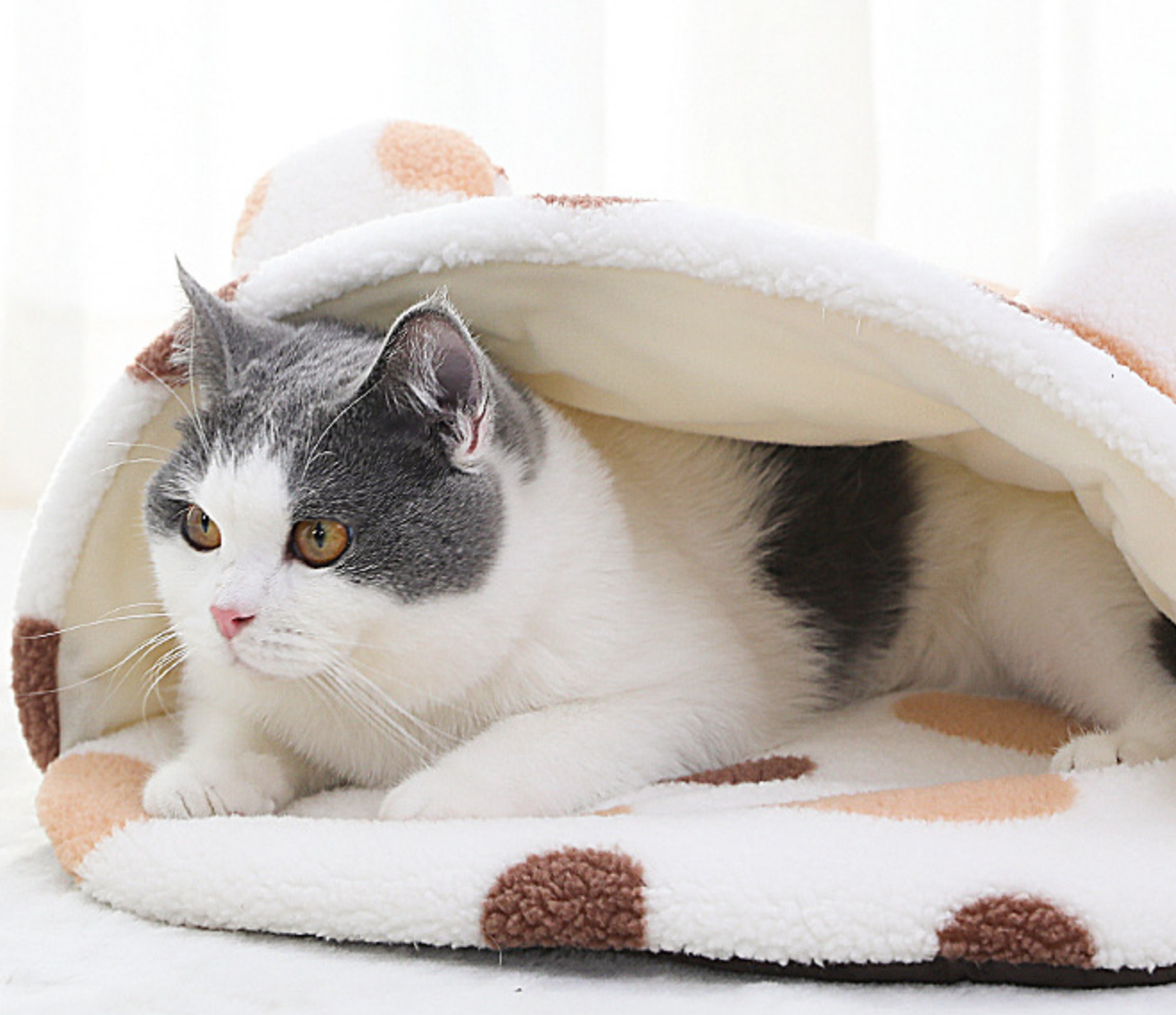 Chenpet Eco-friendly Custom Plush Cozy Pet Beds