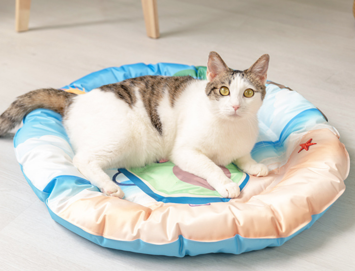 Chenpet Eco-friendly Summer Pet Cool Mats Dog Cooling Down Beds