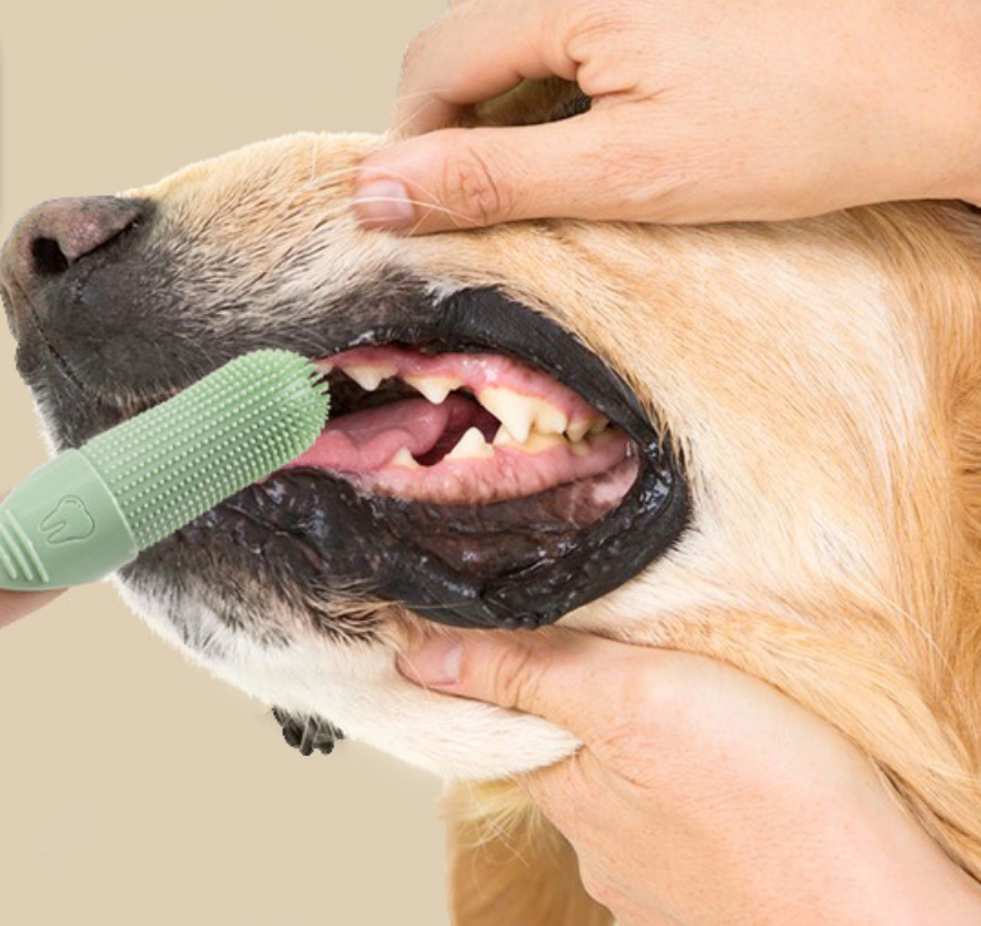 Chenpet Pet Silicone Finger Toothbrush