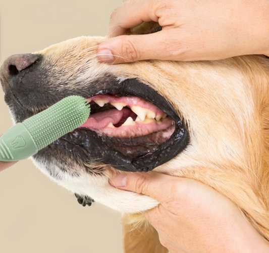 Chenpet Pet Silicone Finger Toothbrush