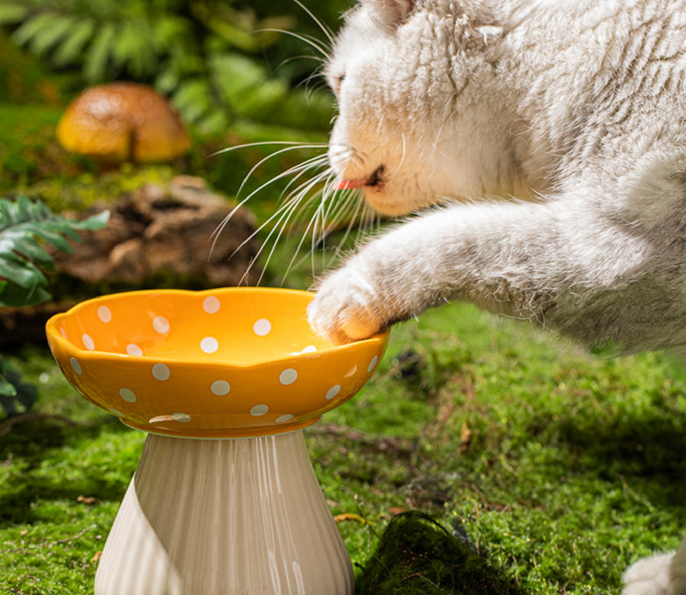 Chenpet Durable Ceramics Pet Water Bowls Food Bowls